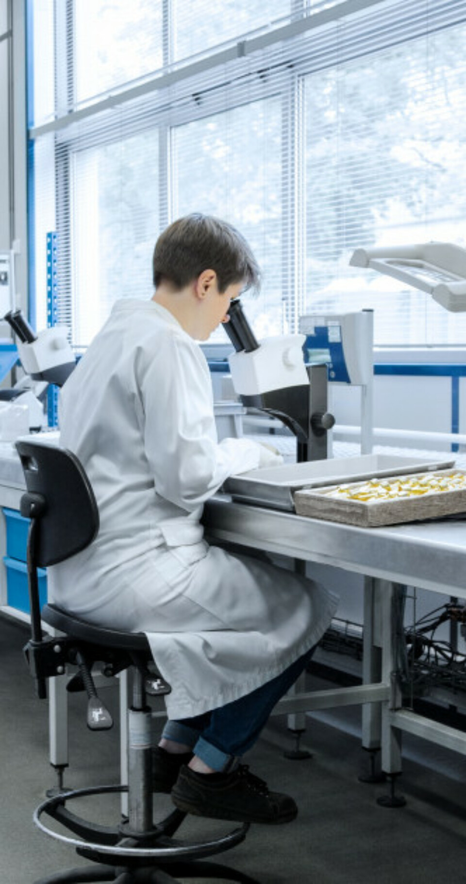Laboratoire Thermocompact pour du fil technique